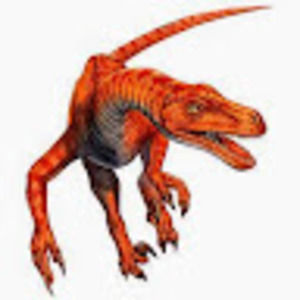 Meet your Posher, Ulises